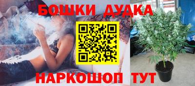 кокаин Гатчина