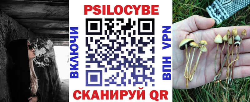 купить наркотики сайты  Канаш  Псилоцибиновые грибы мухоморы 