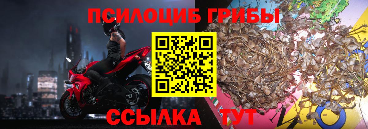 Галлюциногенные грибы мухоморы  Вход с VPN  Канаш 